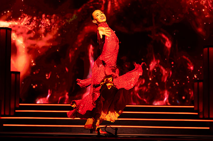 Riverdance | The original... The best!